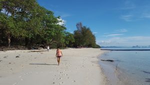 Early morning Koh Naka Yai ? ashore at anchorage 'C' before the day trippers arrive - Photo by Supaporn Banjongpas