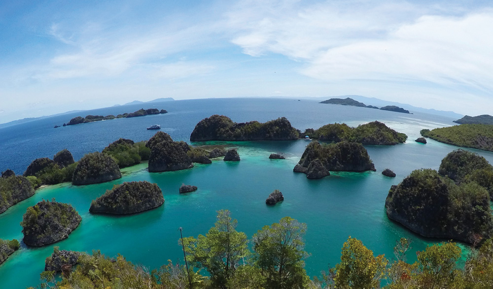 Looking northeast on Pulau Penemu to the Fam Group