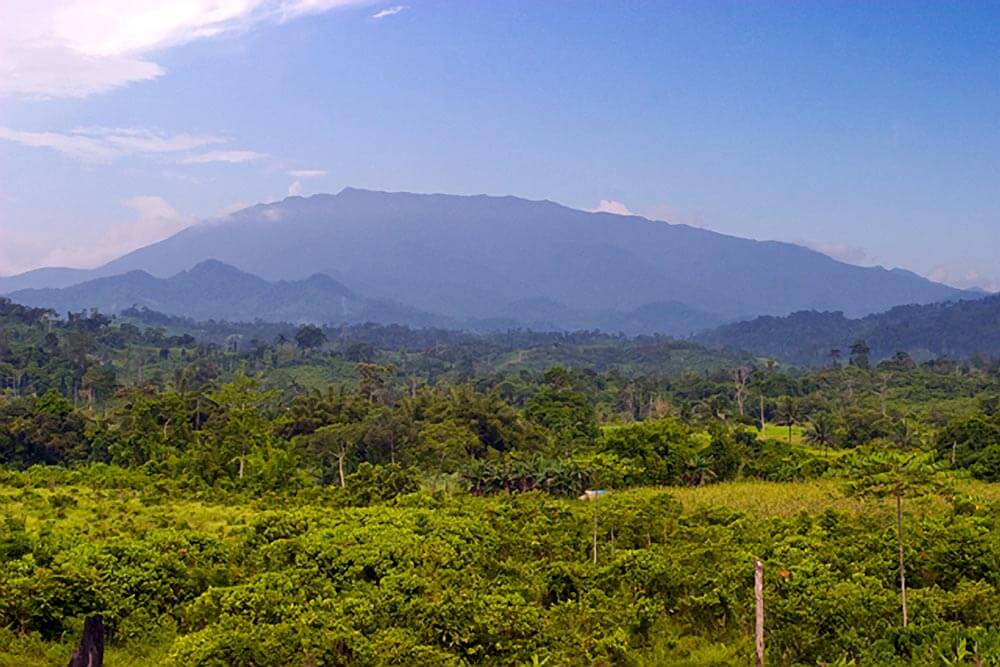 Mount Mantalingajan, Southern Palawan