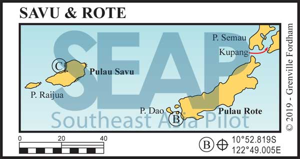 The Savu & Rote Group