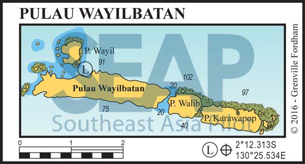 Pulau Wayilbatan, Raja Ampat