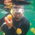 Jelly Fish Lake