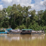 Car transport on the Kinabatangan River in Sabah, Malaysia