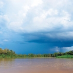 Contrasting colours of the Kinabatangan river