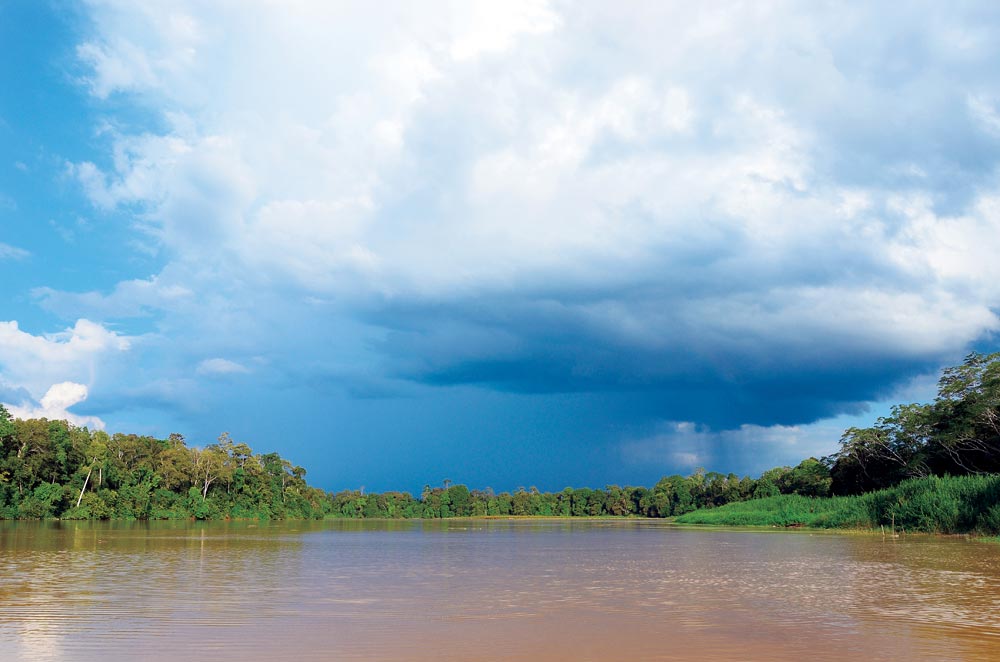 Contrasting colours of the Kinabatangan river