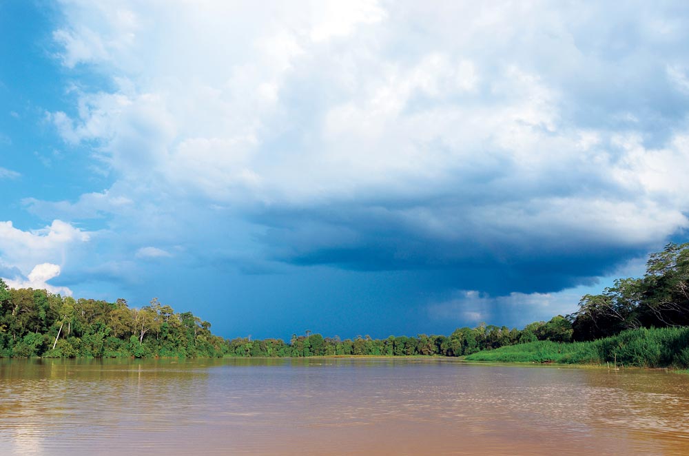 Kinabatangan River