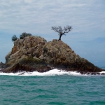 Single tree growing on isolated rock in the ocean near Pulau Tinggi