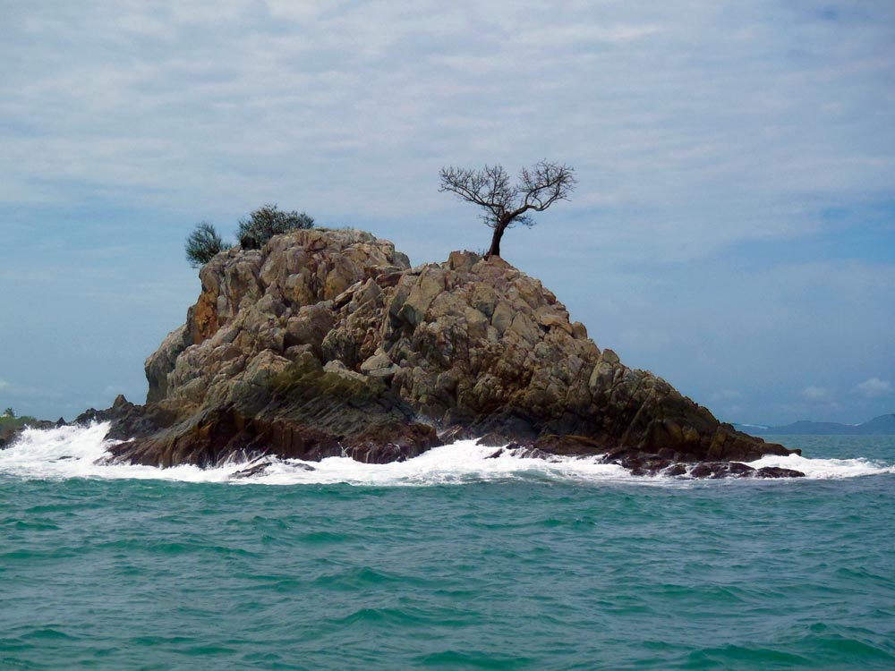 Single tree growing on isolated rock in the ocean near Pulau Tinggi