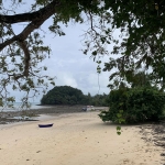 The crew went ashore to find the boat high and dry when they returned. They were in for a long wait...