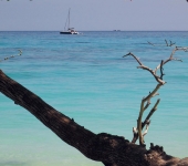 Idyllic island - Koh Rok Nok